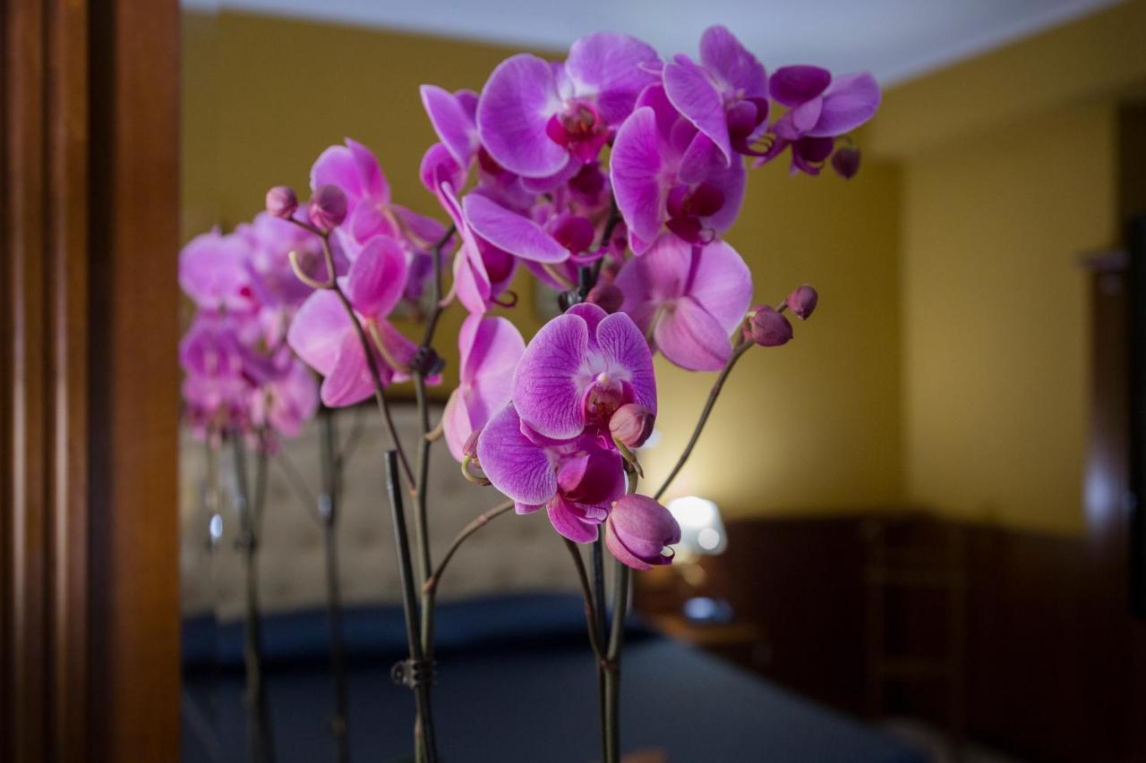 Hotel San Michele Milazzo Ngoại thất bức ảnh